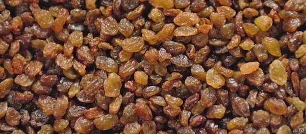 تصویر 2 از خرید کشمش صادراتی ممتاز + قیمت فروش استثنایی